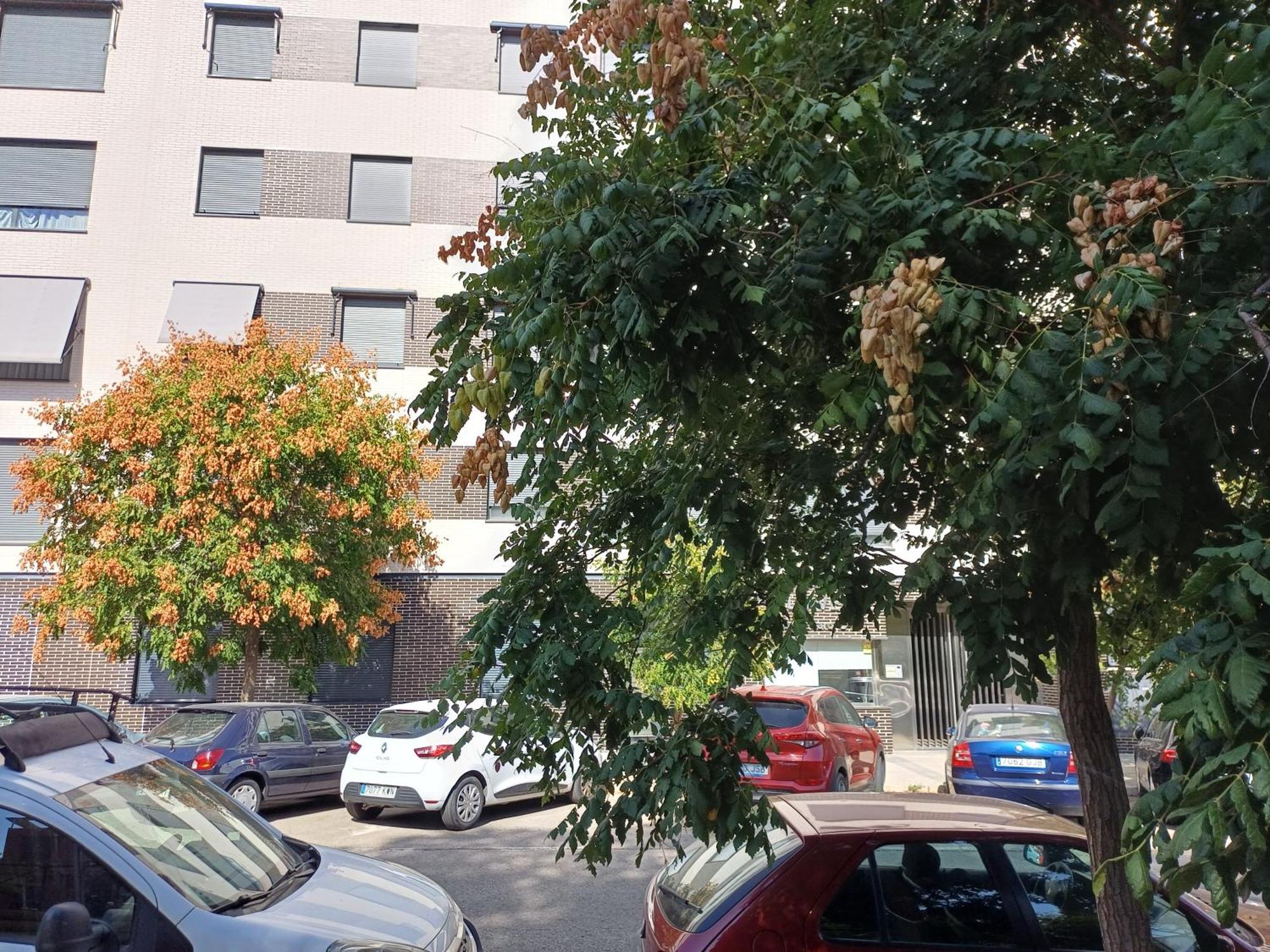 Estudios Nuevos Madrid Centro Eksteriør billede