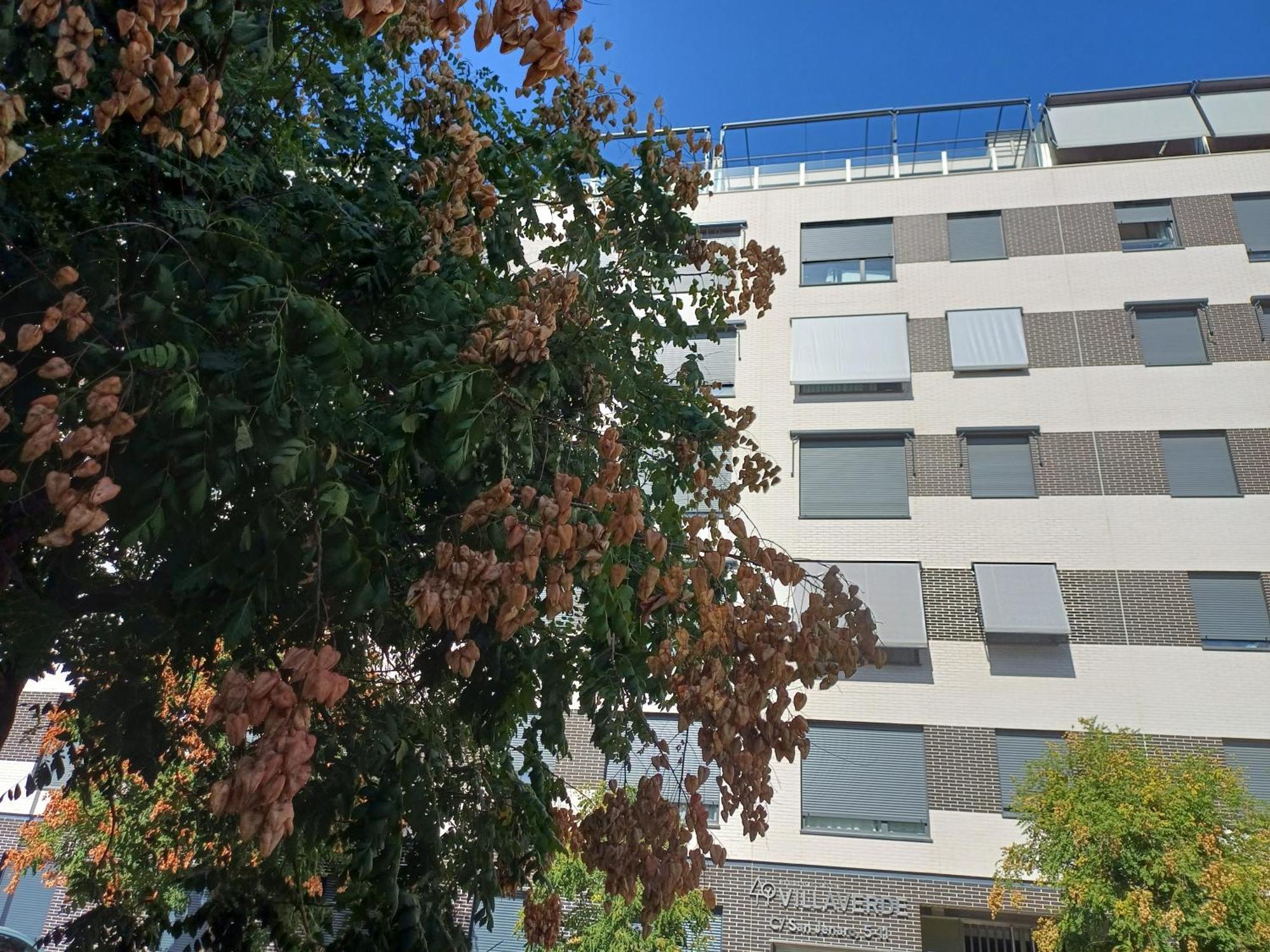 Estudios Nuevos Madrid Centro Eksteriør billede